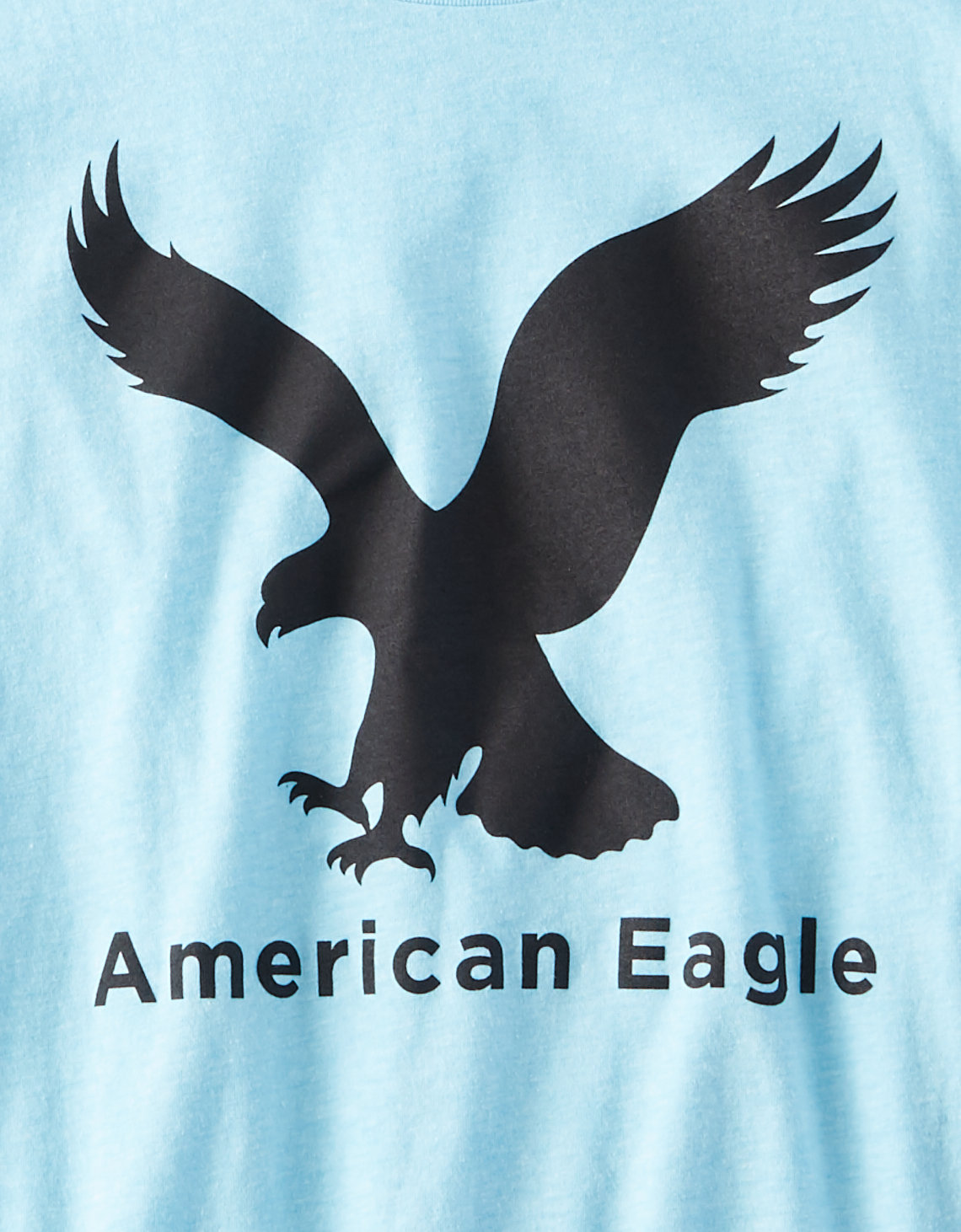 Фото футболка american eagle голубая от магазина American Eagle